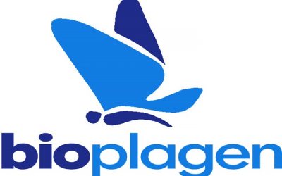 Limpieza y desinfección de camiones