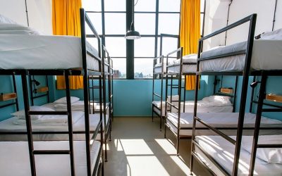 ¿Cómo prevenir y detectar chinches en albergues?