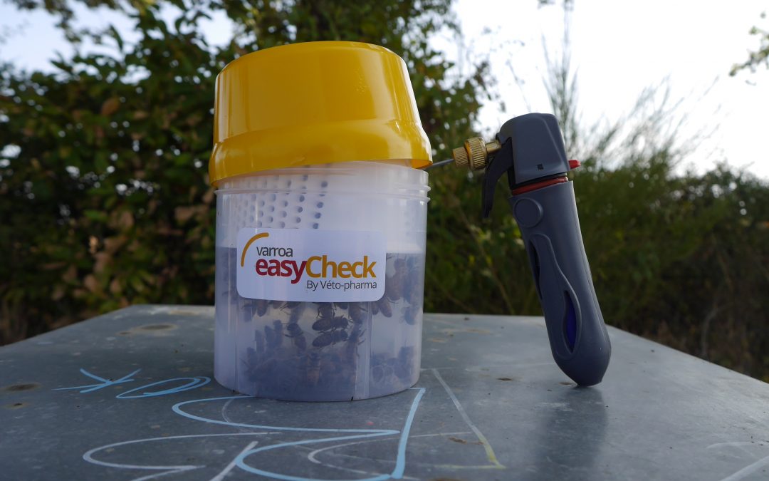 ¿Tienes controlada la Varroosis?